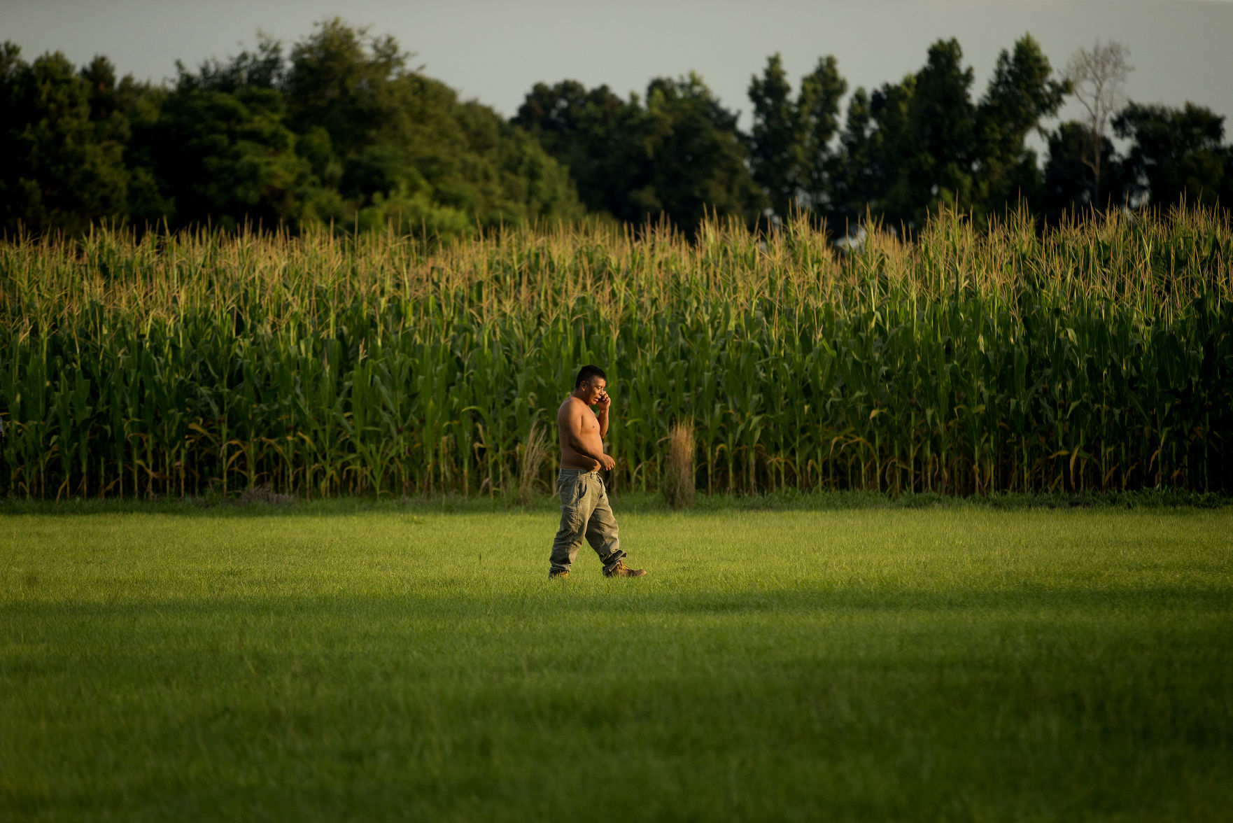 corn fields.jpg